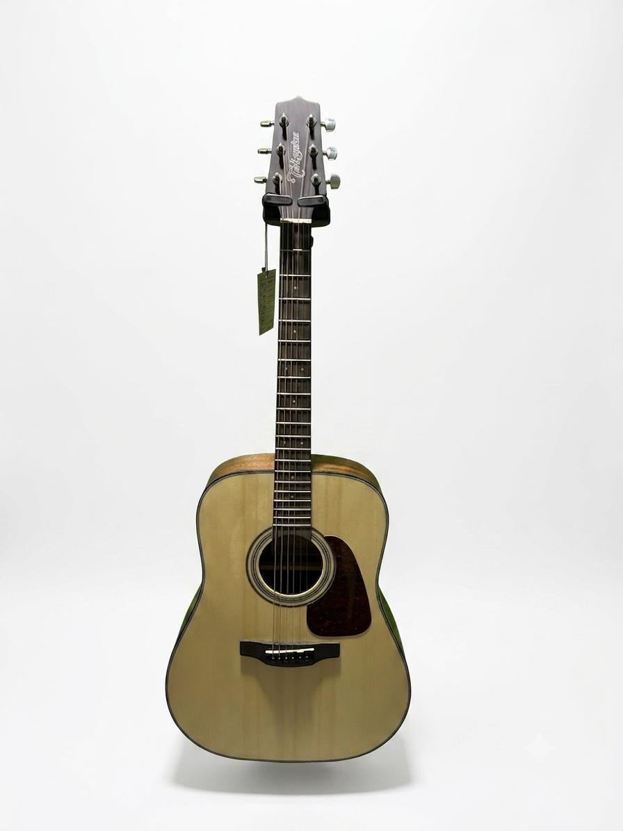 Takamine GD10 NS Chitarra Acustica Dreadnought Naturale